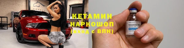 гидра Алексин