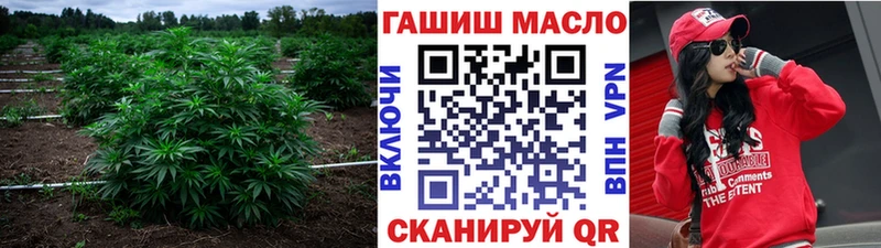 гидра ТОР  как найти наркотики  Алапаевск  ТГК THC oil 