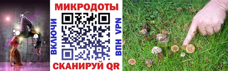 Галлюциногенные грибы MAGIC MUSHROOMS  Алапаевск 